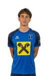 Tesanovic 